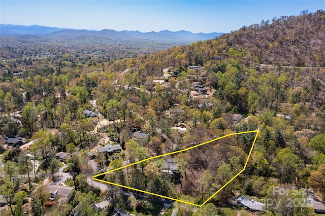 22 Robinhood Rd, Asheville, NC 28804 - photo 27