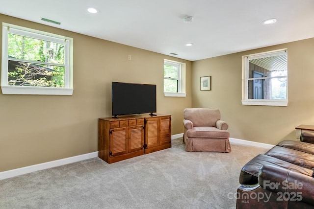 609 Haven Dr, Saluda, NC 28773 - photo 27
