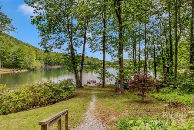 609 Haven Dr, Saluda, NC 28773 - photo 32