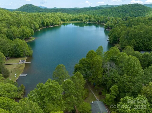 609 Haven Dr, Saluda, NC 28773 - photo 41
