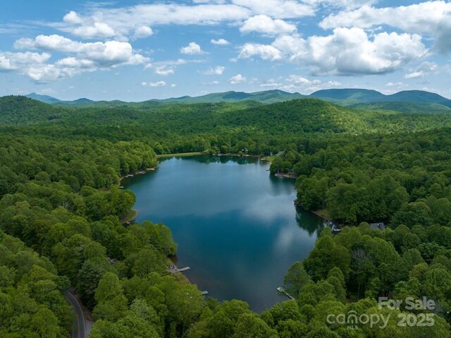 609 Haven Dr, Saluda, NC 28773 - photo 42