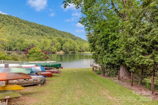 609 Haven Dr, Saluda, NC 28773 - photo 43