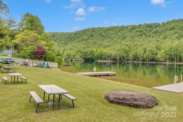 609 Haven Dr, Saluda, NC 28773 - photo 45