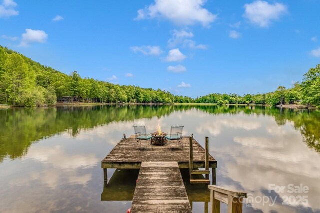 609 Haven Dr, Saluda, NC 28773 - photo 47