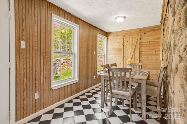 dining room featuring a wealth of natural light, tile patterned floors, and wooden walls