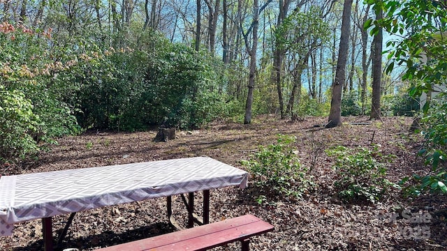 25 Dew Waite Rd, Black Mountain, NC 28711 - view of home's community