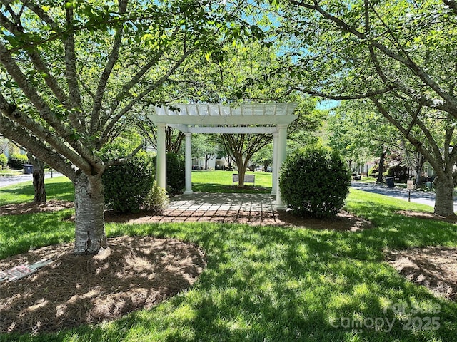 view of yard featuring a pergola