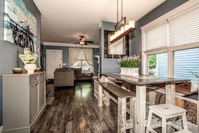 dining space featuring dark wood-type flooring, a ceiling fan, crown molding, and a healthy amount of sunlight