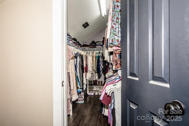 spacious closet featuring lofted ceiling and dark wood-style flooring