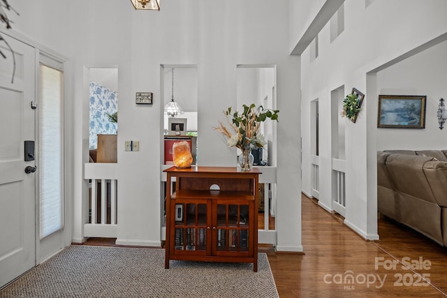 16070 Palawan Ct, Tega Cay, SC 29708 - foyer entrance featuring a high ceiling, wood finished floors, and baseboards