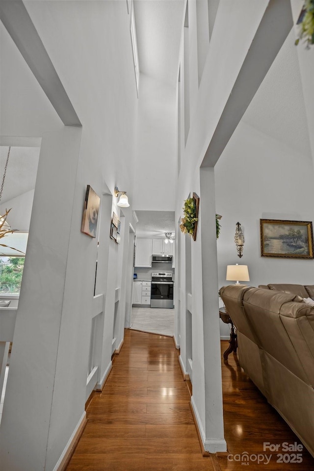 16070 Palawan Ct, Tega Cay, SC 29708 - hallway featuring wood finished floors, a high ceiling, and baseboards