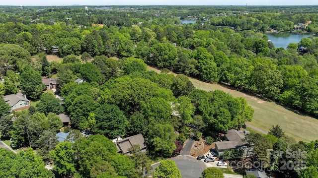 16070 Palawan Ct, Tega Cay, SC 29708 - aerial view with a view of trees and a water view