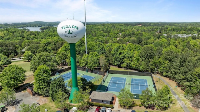 16070 Palawan Ct, Tega Cay, SC 29708 - aerial view featuring a forest view