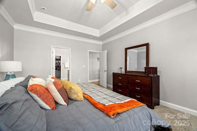 carpeted bedroom featuring visible vents, ornamental molding, baseboards, a walk in closet, and a raised ceiling