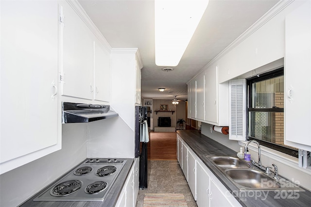 134 Piedmont Dr, Kannapolis, NC 28081 - kitchen with stainless steel electric cooktop, under cabinet range hood, a sink, and white cabinetry