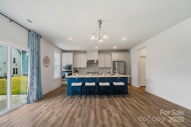 kitchen with a large island with sink, wood finished floors, stainless steel appliances, and under cabinet range hood