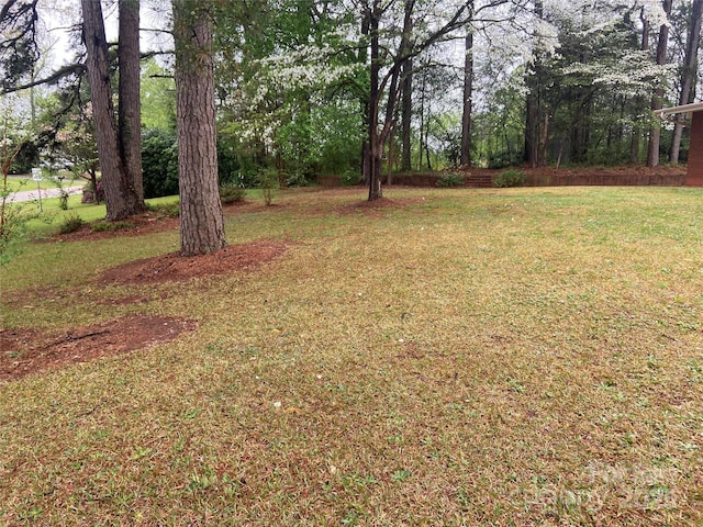 view of grassy yard