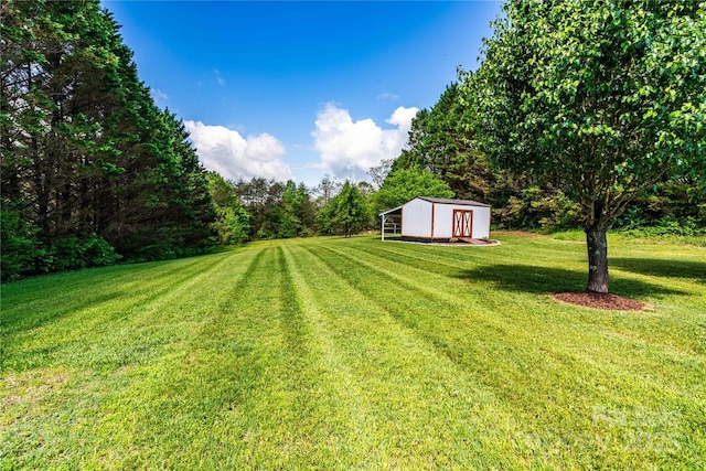 view of yard with a shed and an outbuilding