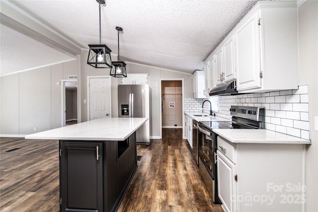 kitchen with appliances with stainless steel finishes, dark wood-style flooring, under cabinet range hood, and a sink