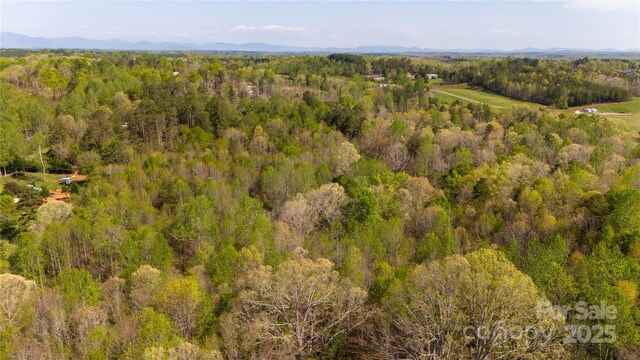 523 Mcdade Rd, Tryon, NC 28782