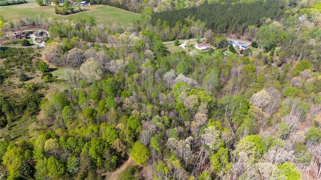 523 Mcdade Rd, Tryon, NC 28782