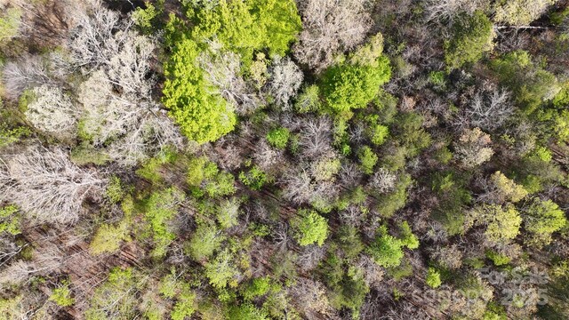 523 Mcdade Rd, Tryon, NC 28782