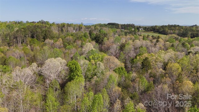 523 Mcdade Rd, Tryon, NC 28782