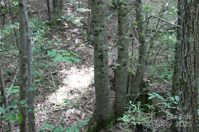523 Mcdade Rd, Tryon, NC 28782