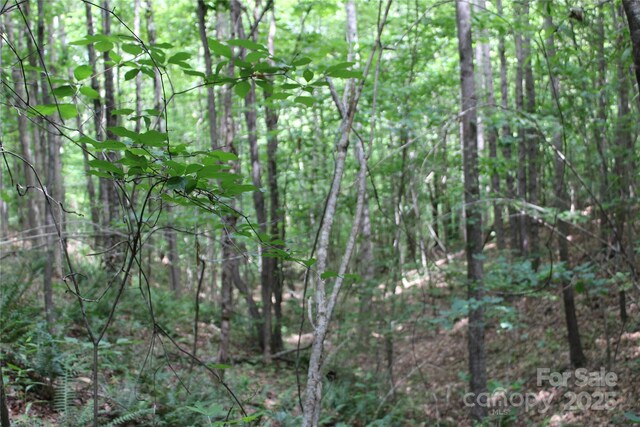523 Mcdade Rd, Tryon, NC 28782