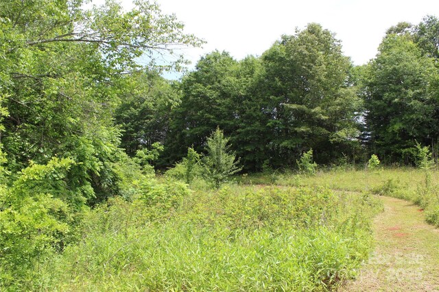 523 Mcdade Rd, Tryon, NC 28782