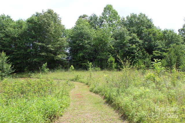523 Mcdade Rd, Tryon, NC 28782