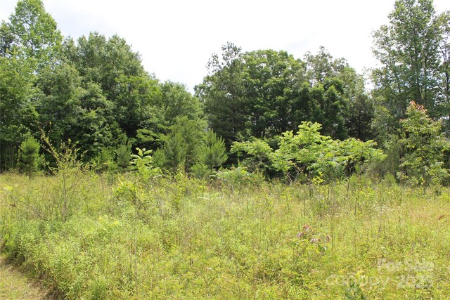 523 Mcdade Rd, Tryon, NC 28782