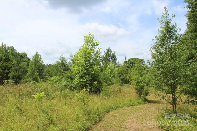 523 Mcdade Rd, Tryon, NC 28782