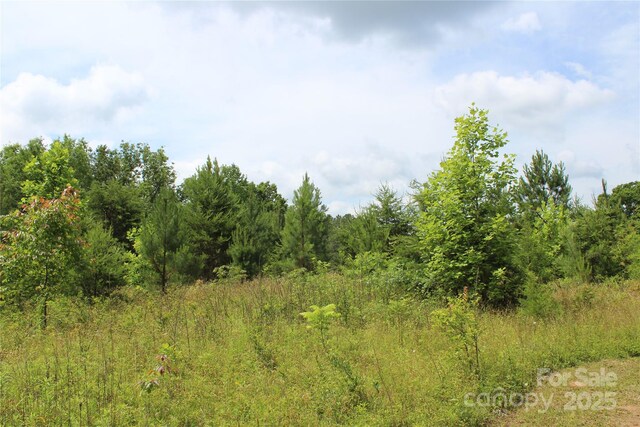 523 Mcdade Rd, Tryon, NC 28782