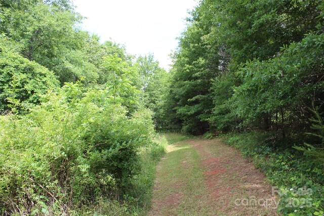 523 Mcdade Rd, Tryon, NC 28782