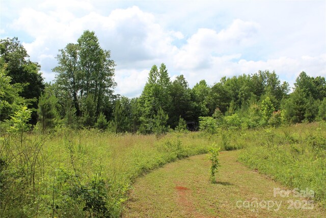 523 Mcdade Rd, Tryon, NC 28782
