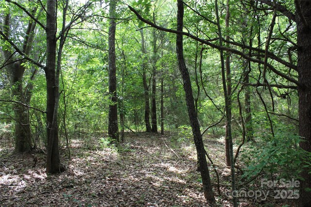 523 Mcdade Rd, Tryon, NC 28782