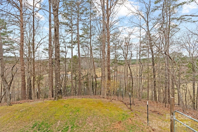 3670 Maple Creek Rd, Rutherfordton, NC 28139 - view of yard