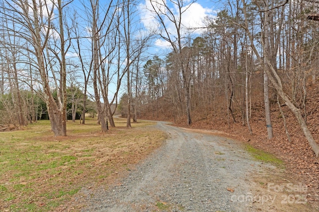 3670 Maple Creek Rd, Rutherfordton, NC 28139 - view of road