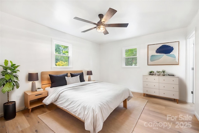 1904 27th Avenue Dr NE, Hickory, NC 28601 - bedroom with multiple windows, light wood finished floors, and ceiling fan