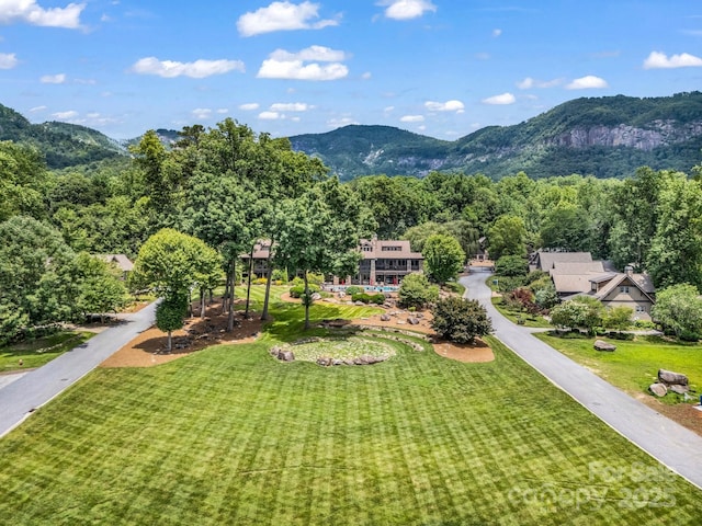 136 Firefly Cv, Lake Lure, NC 28746 - view of property's community with a mountain view and a lawn