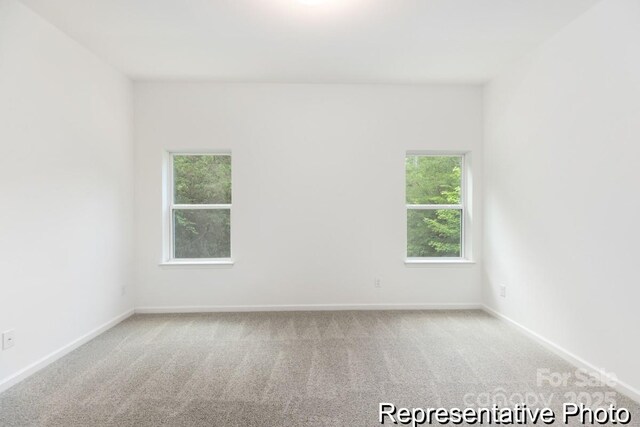 24558 Blue Heron Cir Unit 402, Lancaster, SC 29720 - empty room featuring carpet floors, a wealth of natural light, and baseboards