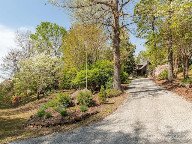 632 Hidden Hills Dr, Rutherfordton, NC 28139 - photo 2