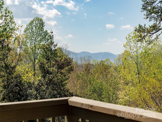 632 Hidden Hills Dr, Rutherfordton, NC 28139 - photo 29
