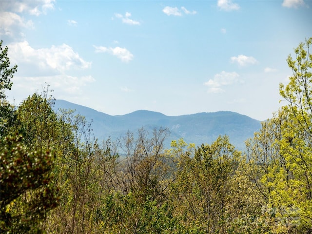 632 Hidden Hills Dr, Rutherfordton, NC 28139 - photo 30