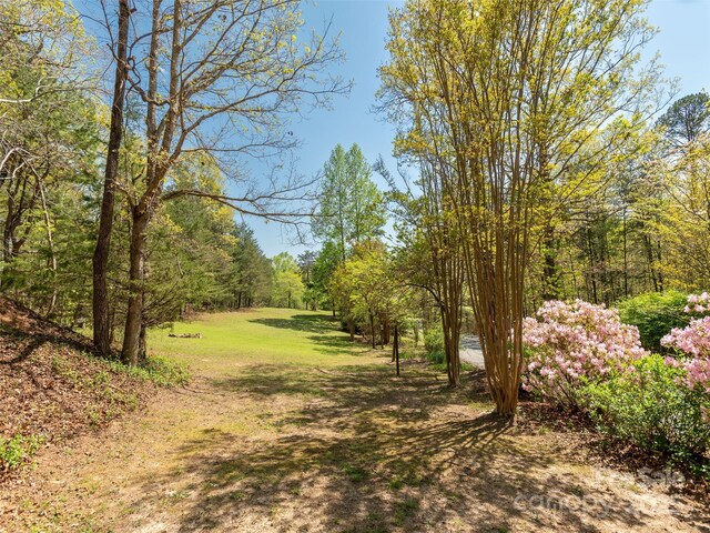 632 Hidden Hills Dr, Rutherfordton, NC 28139 - photo 43