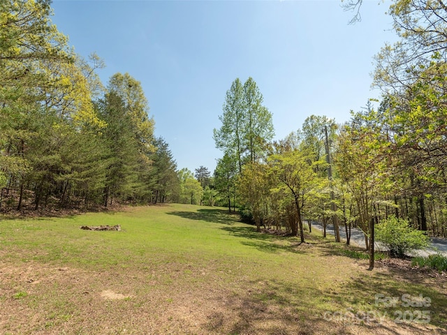 632 Hidden Hills Dr, Rutherfordton, NC 28139 - photo 44