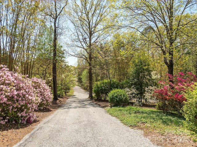 632 Hidden Hills Dr, Rutherfordton, NC 28139 - photo 45