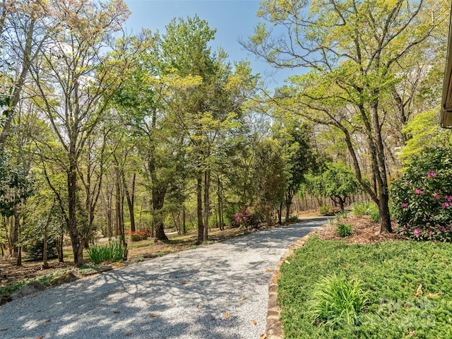632 Hidden Hills Dr, Rutherfordton, NC 28139 - photo 46