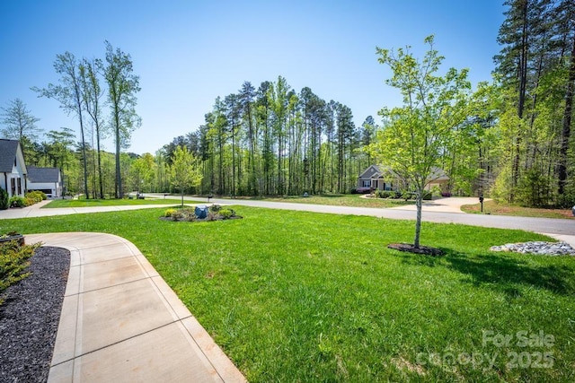 4594 N Wynswept Dr, Maiden, NC 28650 - view of community featuring a yard